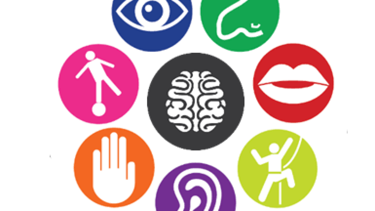 Duyu Bütünleme Terapisi Nedir?